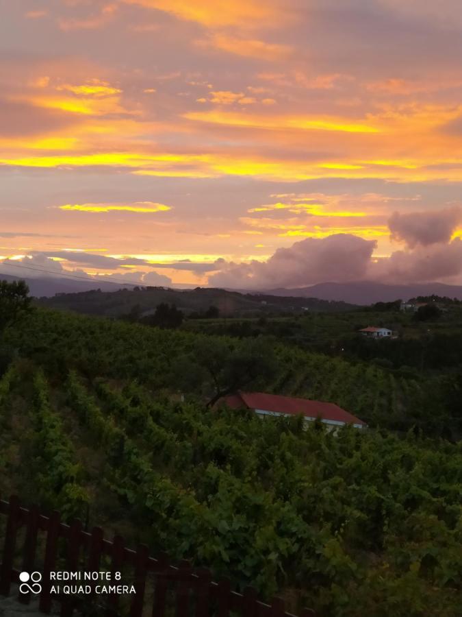 Casa das Vinhas Velhas by Casa do Poço Peso da Régua Extérieur photo