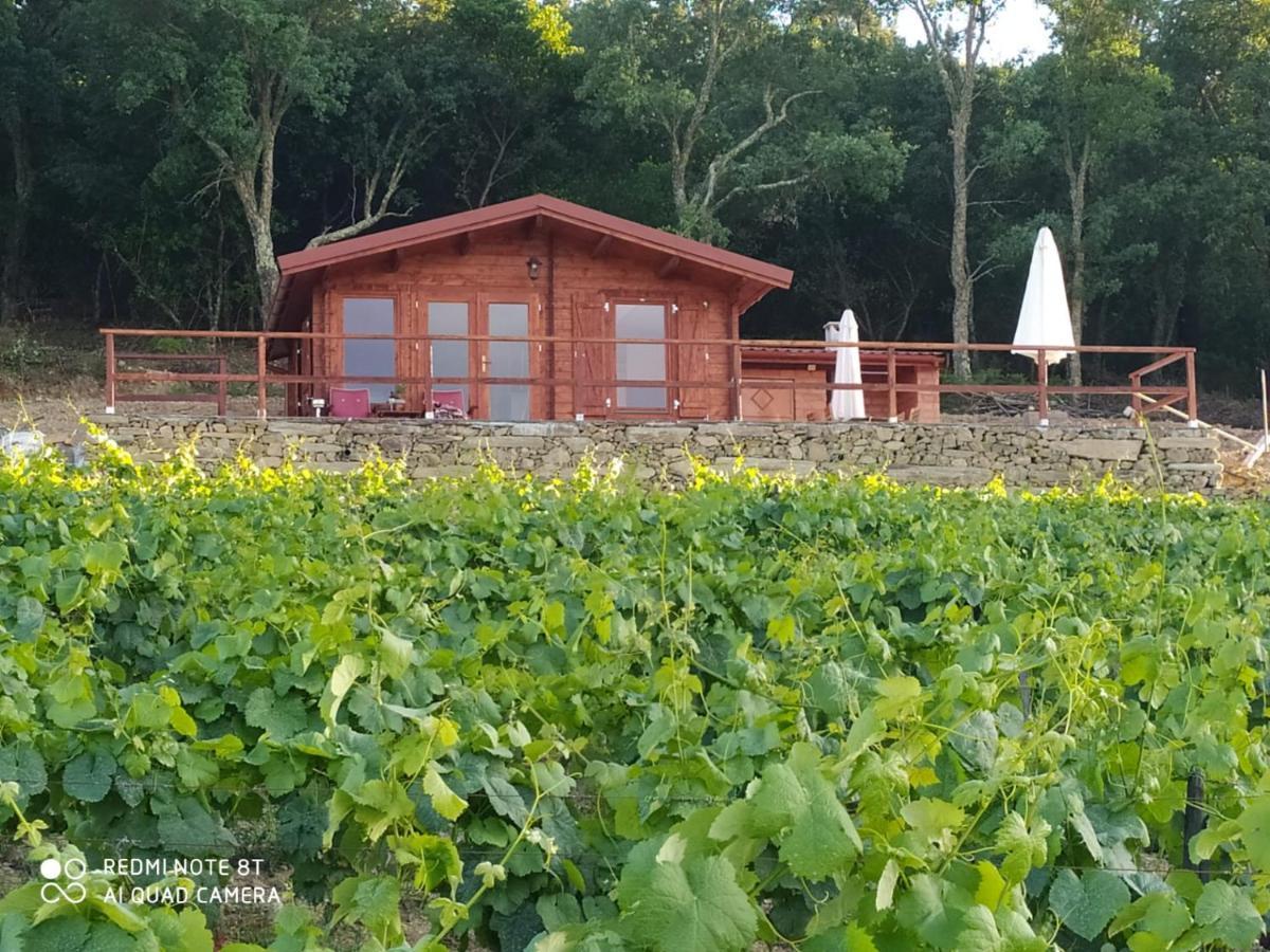 Casa das Vinhas Velhas by Casa do Poço Peso da Régua Extérieur photo